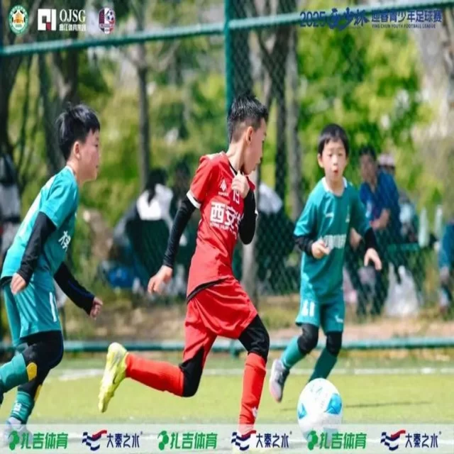 从数据视角解读转会市场趋势第379组动态